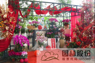 亚洲精品白浆高清久久久久久