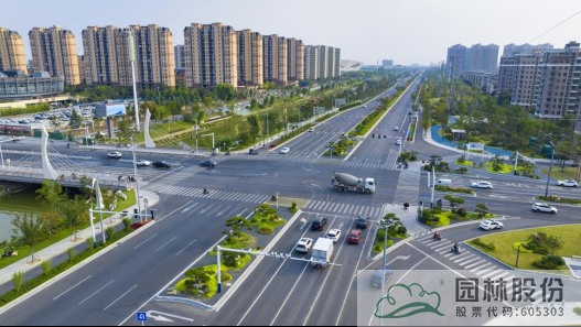 亚洲精品白浆高清久久久久久