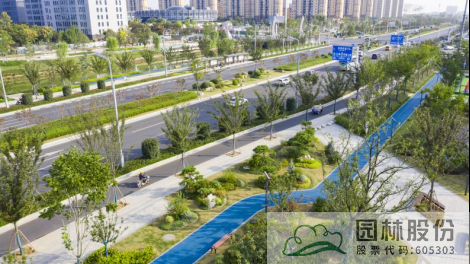 亚洲精品白浆高清久久久久久