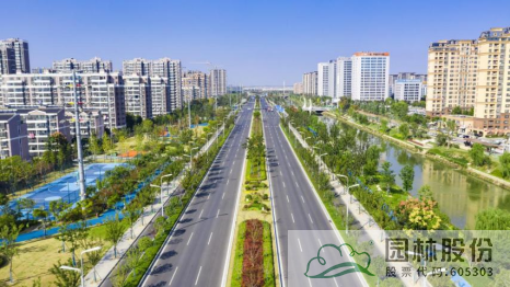 亚洲精品白浆高清久久久久久