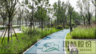 亚洲精品白浆高清久久久久久