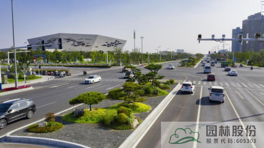 亚洲精品白浆高清久久久久久