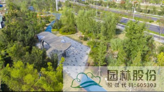 亚洲精品白浆高清久久久久久