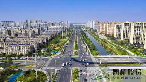 亚洲精品白浆高清久久久久久