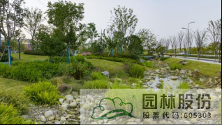 亚洲精品白浆高清久久久久久