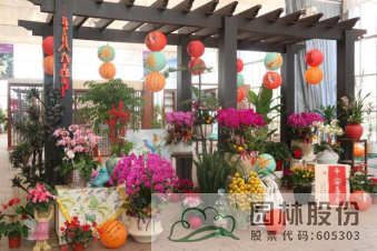 亚洲精品白浆高清久久久久久