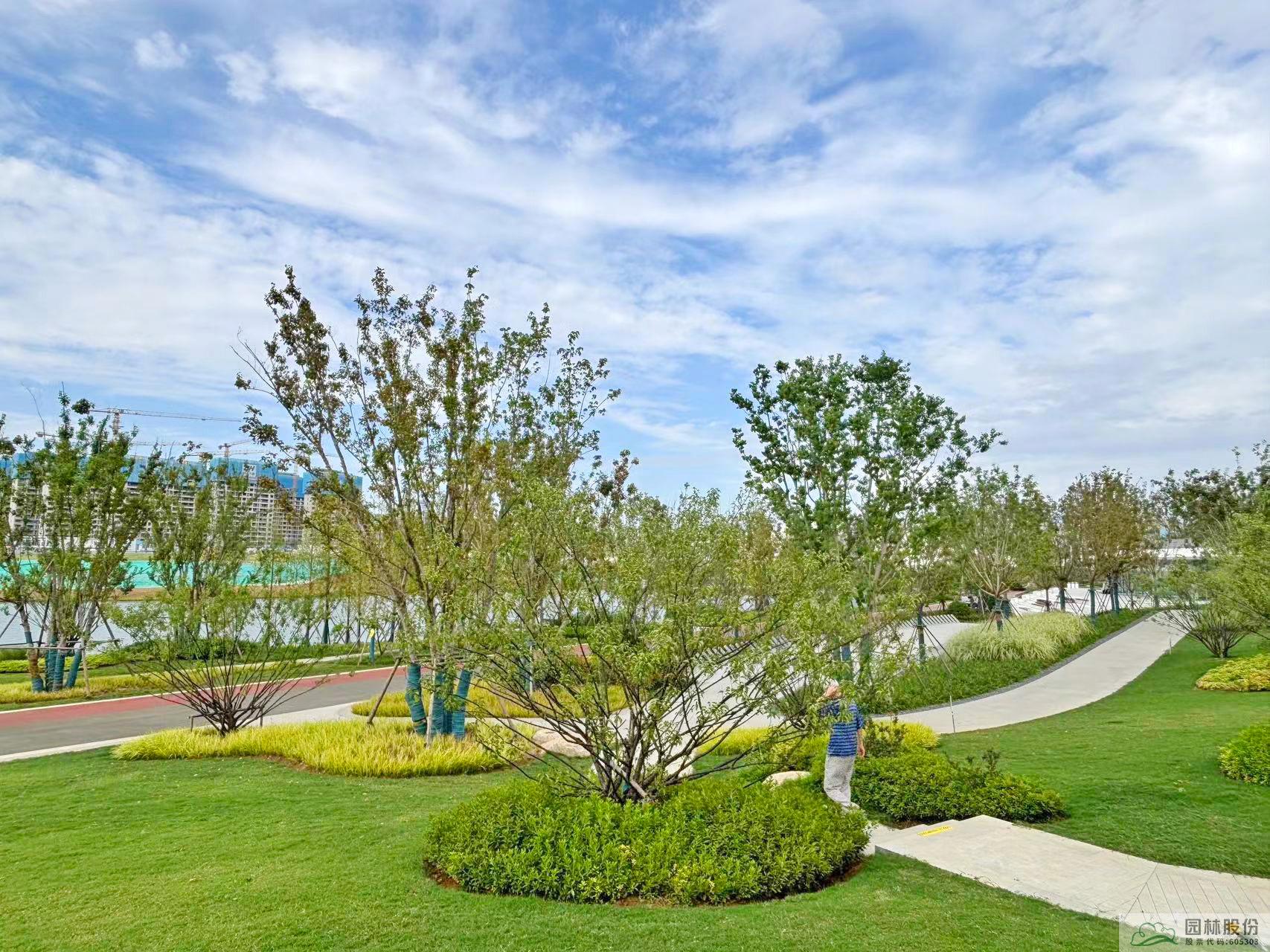 亚洲精品白浆高清久久久久久