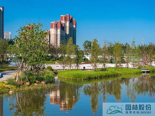 亚洲精品白浆高清久久久久久