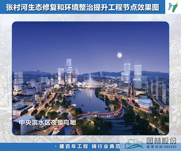 亚洲精品白浆高清久久久久久