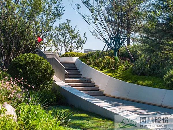 亚洲精品白浆高清久久久久久