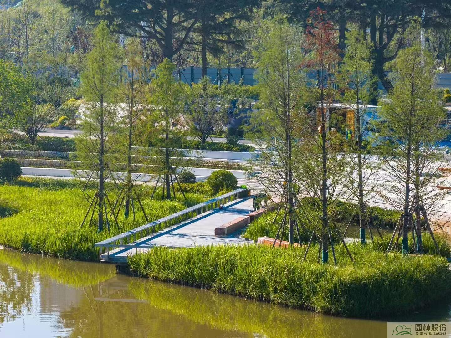 亚洲精品白浆高清久久久久久