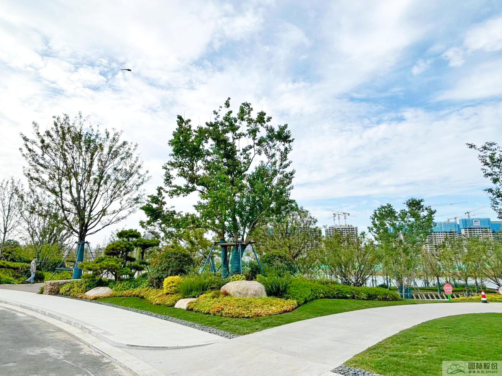 亚洲精品白浆高清久久久久久