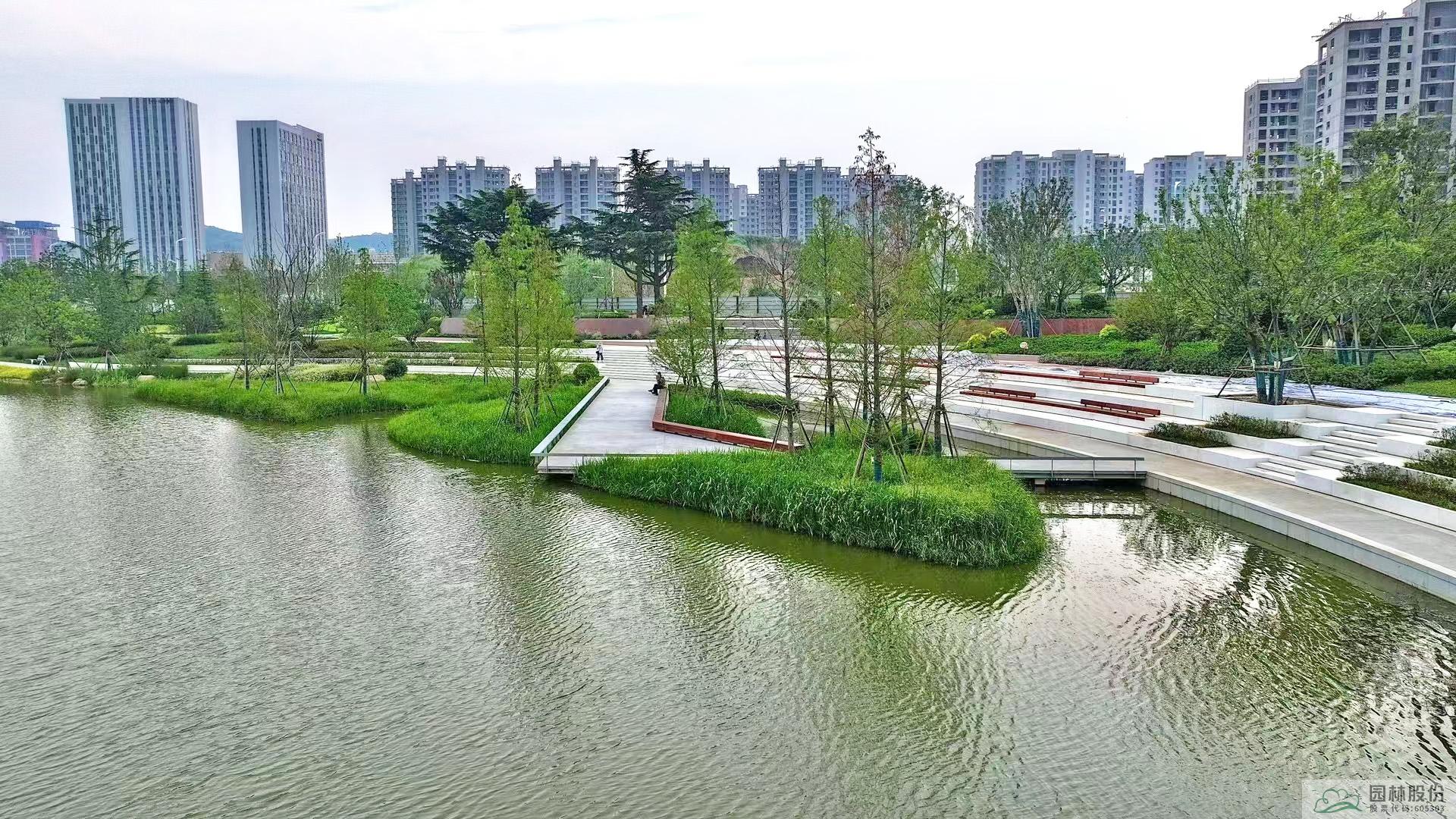 亚洲精品白浆高清久久久久久