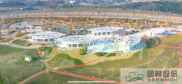 亚洲精品白浆高清久久久久久