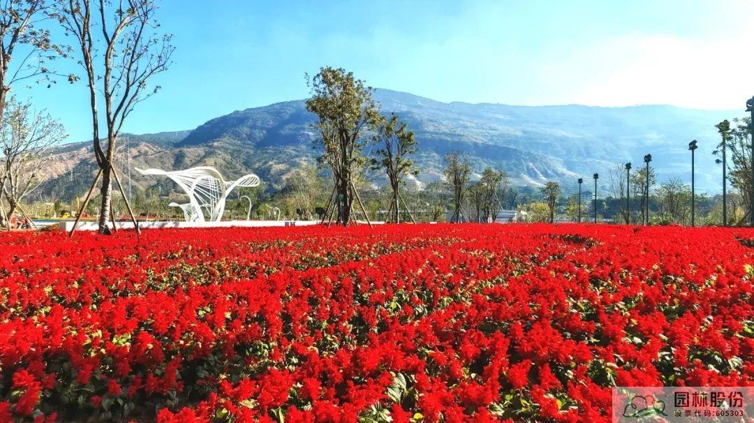 亚洲精品白浆高清久久久久久