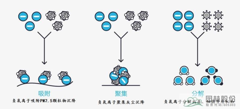 亚洲精品白浆高清久久久久久
