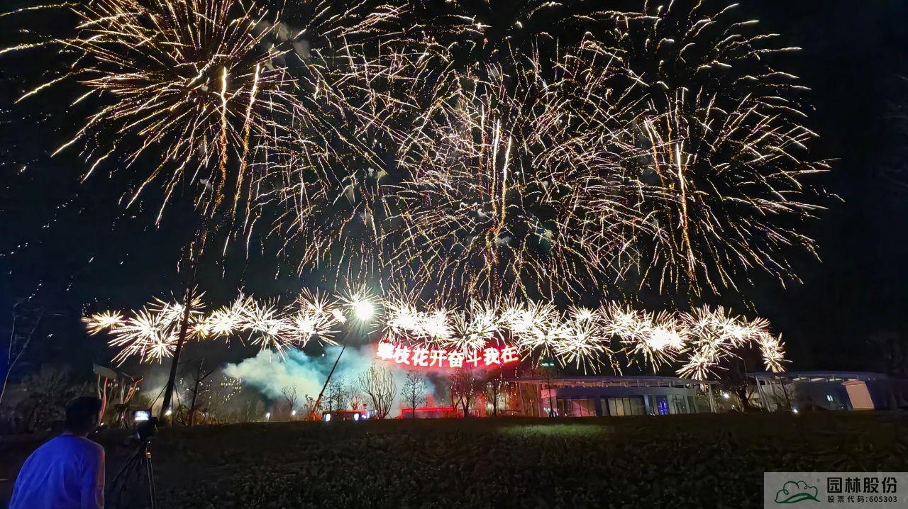 亚洲精品白浆高清久久久久久