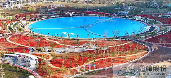 亚洲精品白浆高清久久久久久