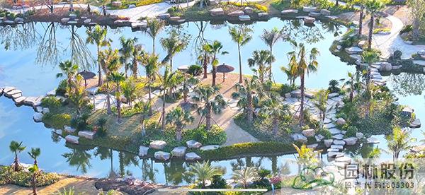 亚洲精品白浆高清久久久久久