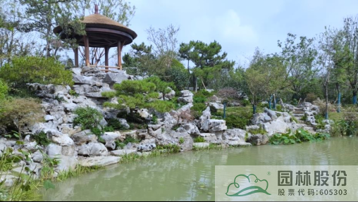 亚洲精品白浆高清久久久久久