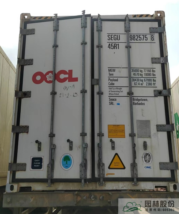 亚洲精品白浆高清久久久久久