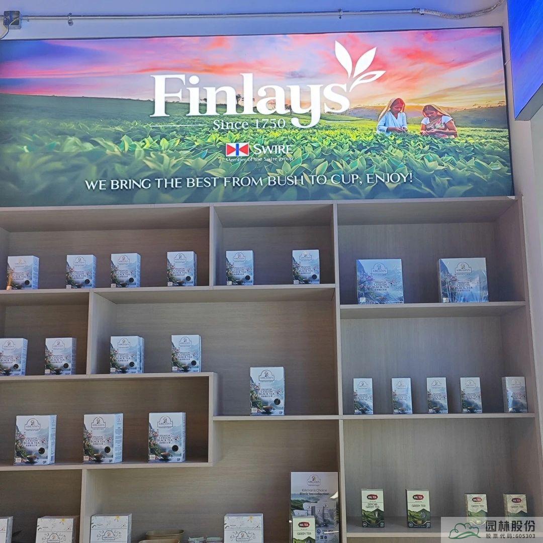 亚洲精品白浆高清久久久久久