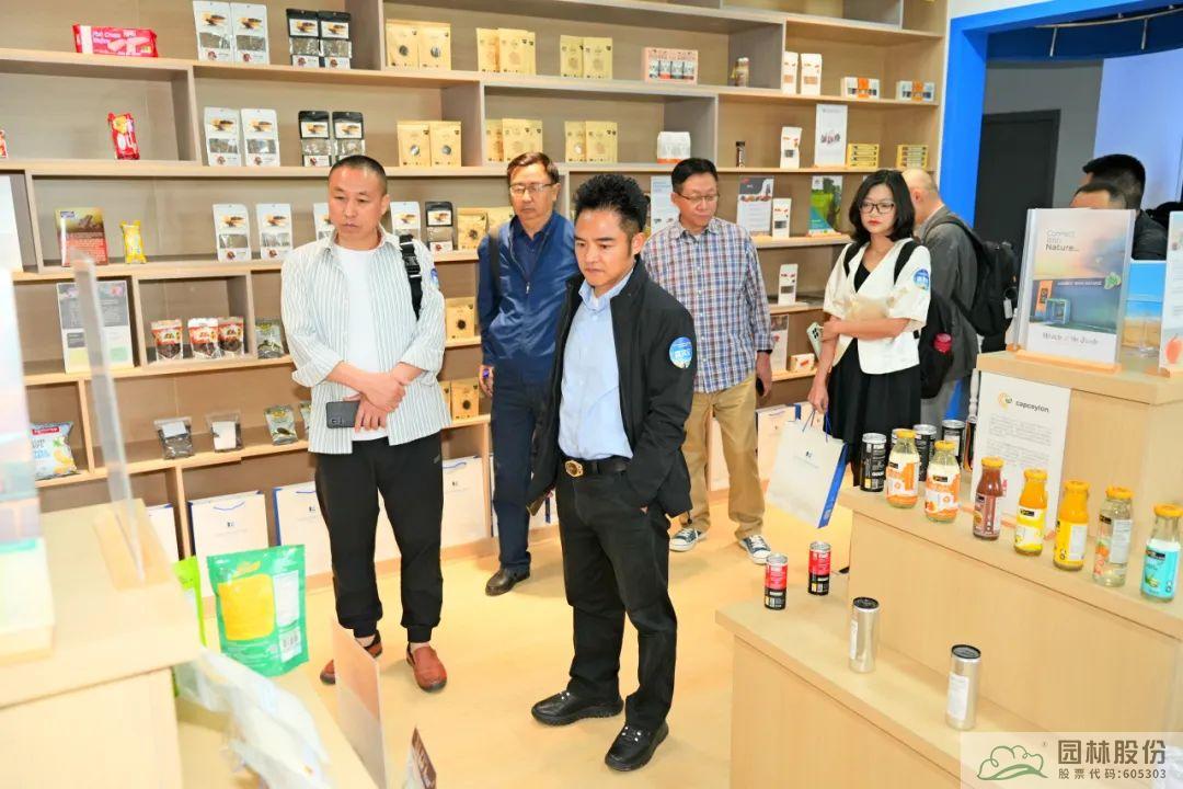 亚洲精品白浆高清久久久久久