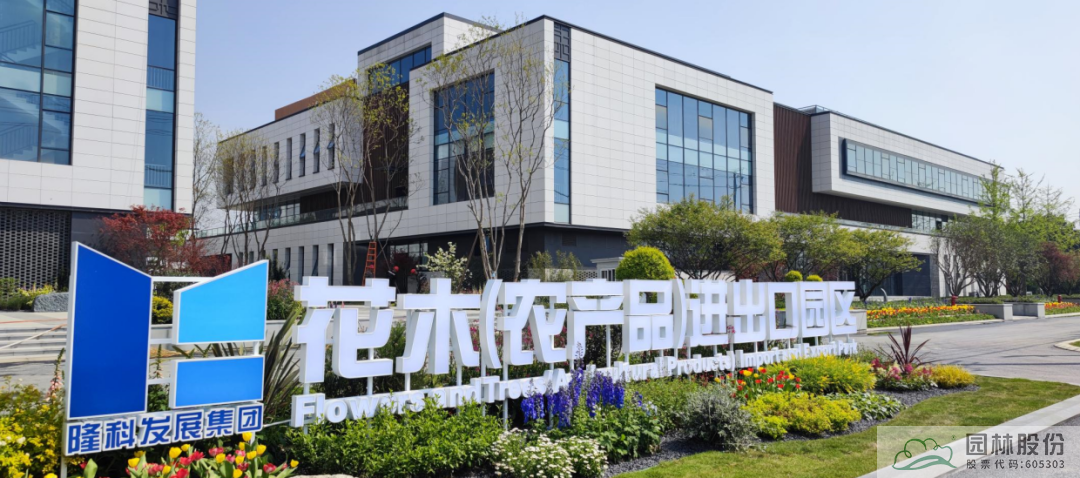 亚洲精品白浆高清久久久久久