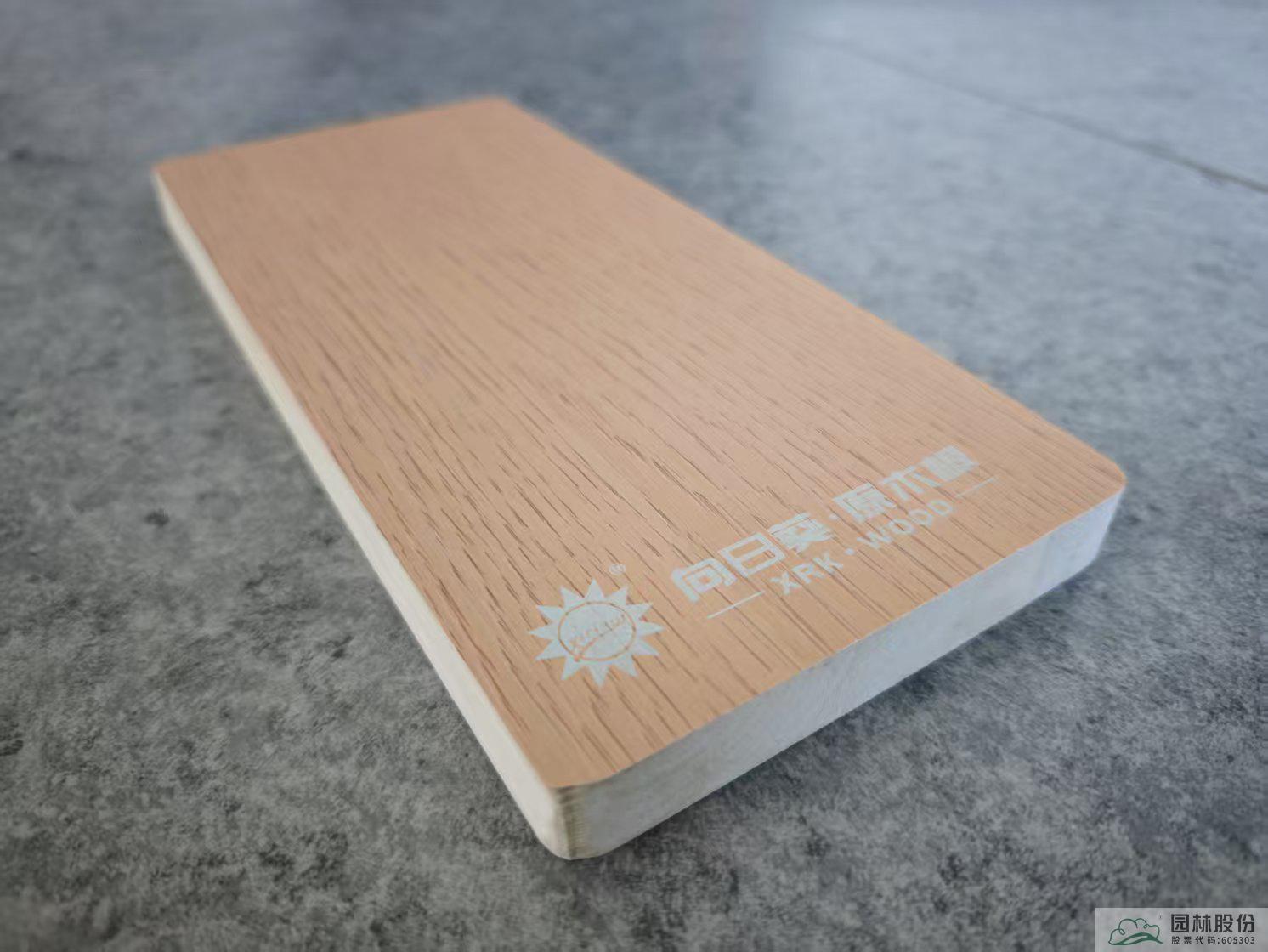 亚洲精品白浆高清久久久久久