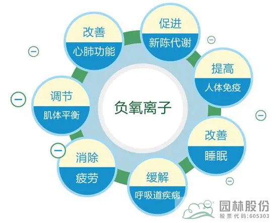 亚洲精品白浆高清久久久久久