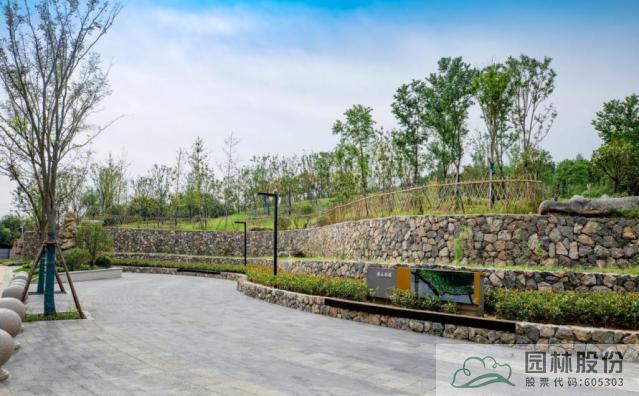 亚洲精品白浆高清久久久久久