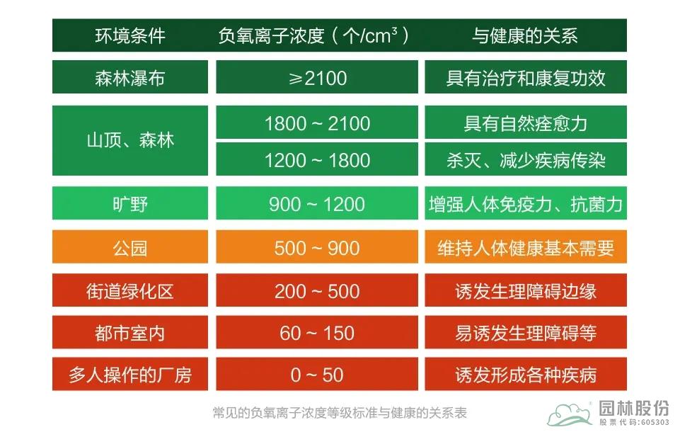亚洲精品白浆高清久久久久久