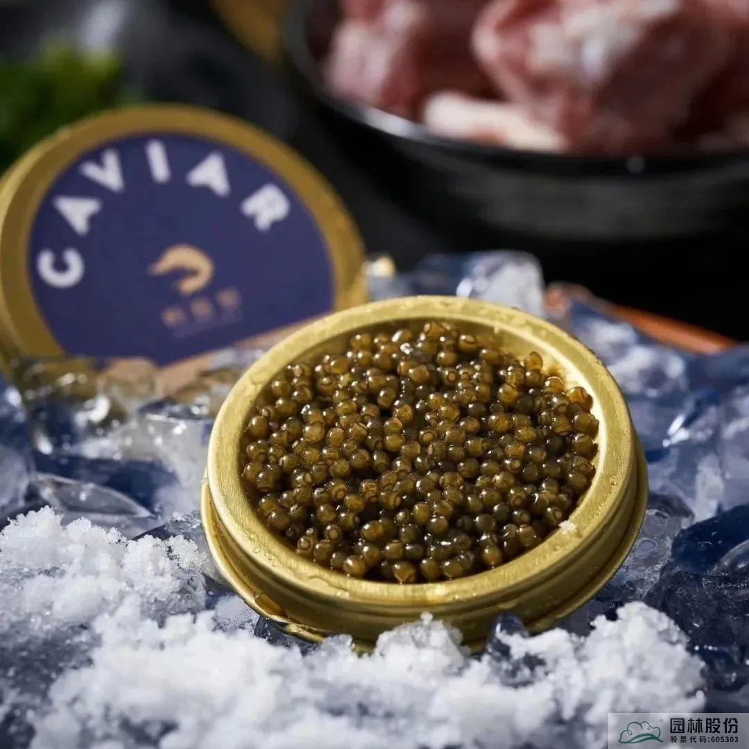 亚洲精品白浆高清久久久久久