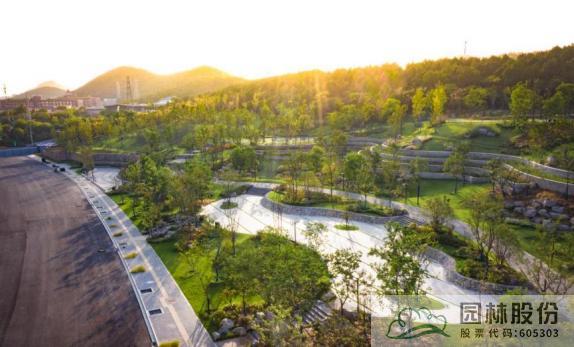 亚洲精品白浆高清久久久久久