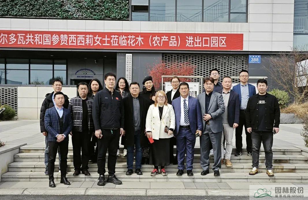 亚洲精品白浆高清久久久久久