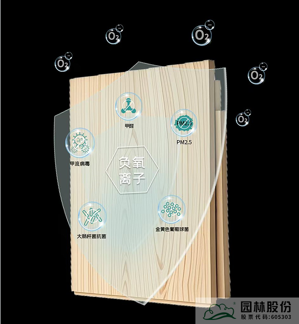 亚洲精品白浆高清久久久久久