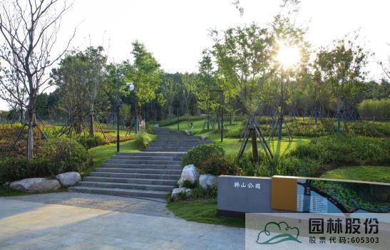 亚洲精品白浆高清久久久久久