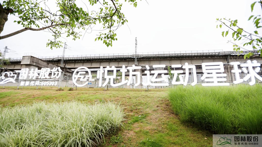 亚洲精品白浆高清久久久久久