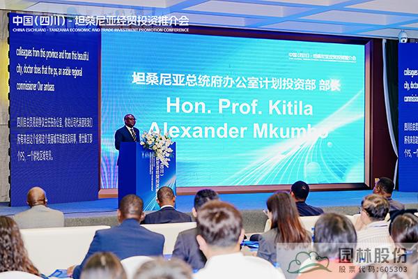 亚洲精品白浆高清久久久久久