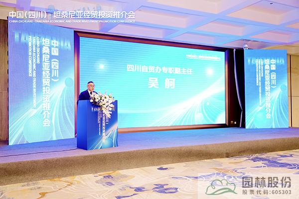 亚洲精品白浆高清久久久久久