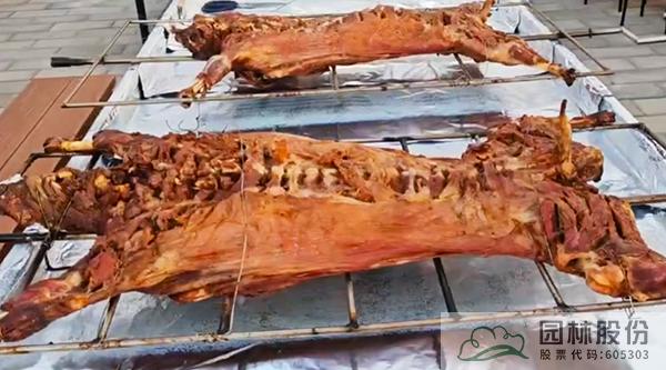 亚洲精品白浆高清久久久久久