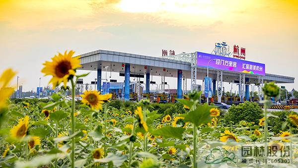 亚洲精品白浆高清久久久久久