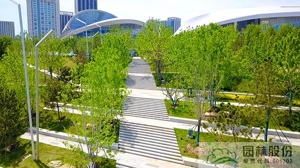 亚洲精品白浆高清久久久久久