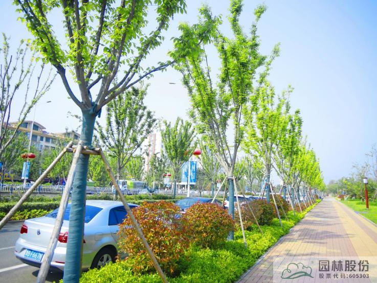 亚洲精品白浆高清久久久久久