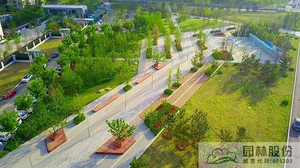 亚洲精品白浆高清久久久久久