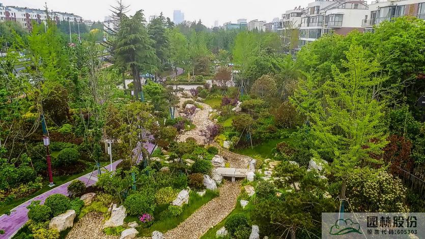 亚洲精品白浆高清久久久久久