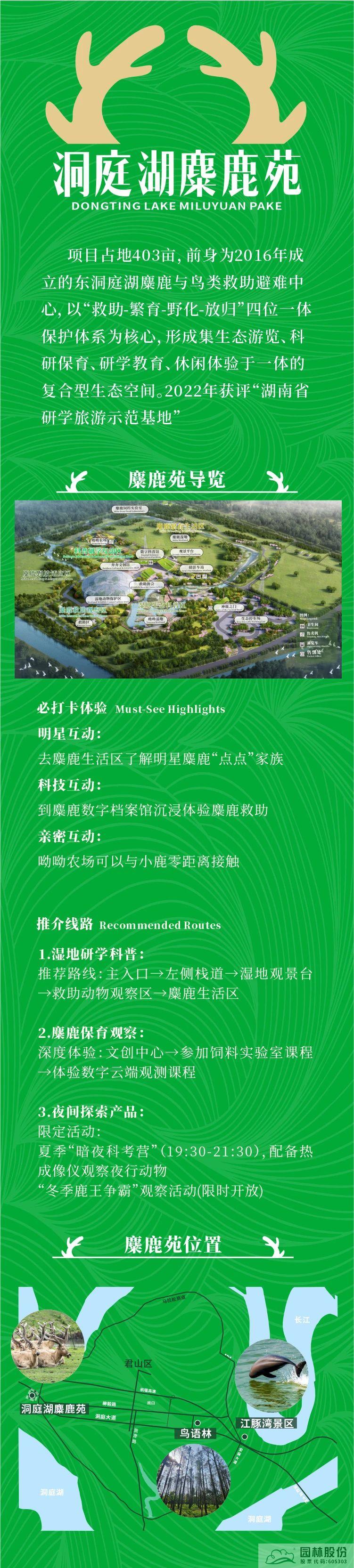 亚洲精品白浆高清久久久久久