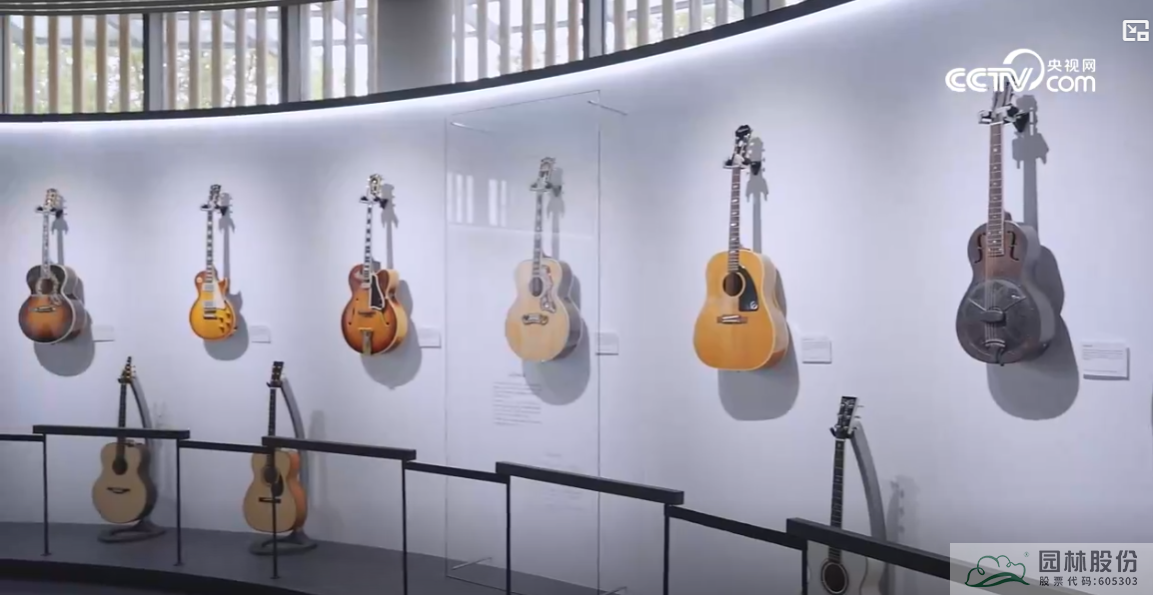 亚洲精品白浆高清久久久久久