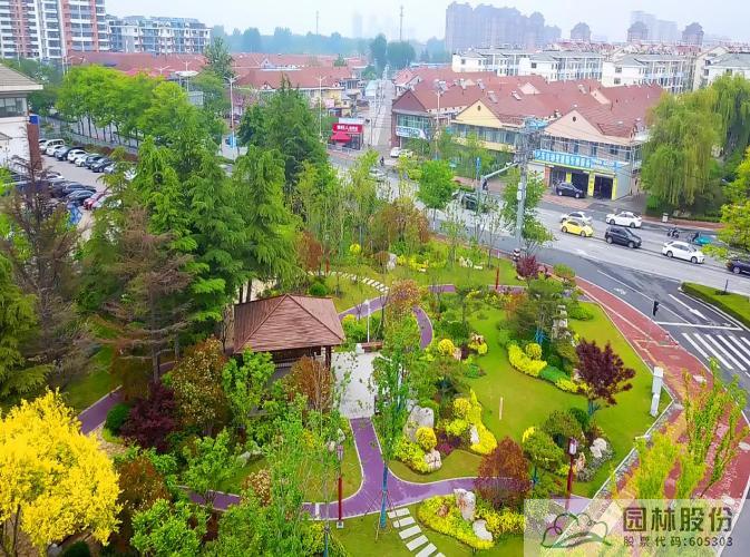 亚洲精品白浆高清久久久久久