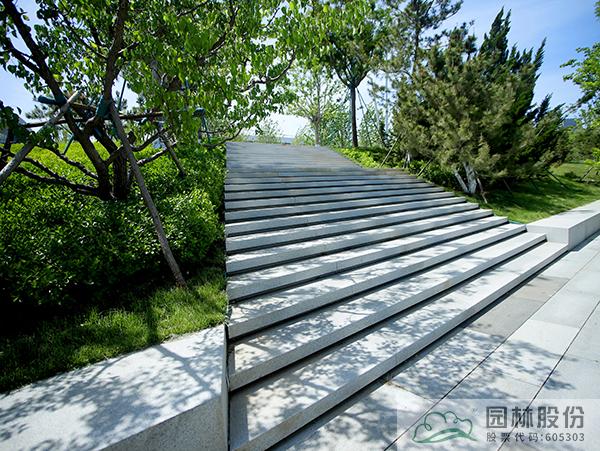 亚洲精品白浆高清久久久久久